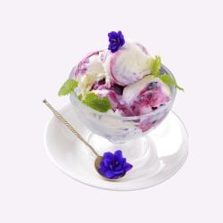 Black Currant Ice Cream